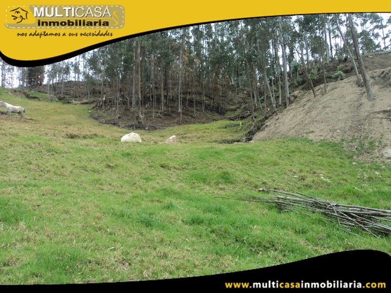 Lotes en Venta a Crédito Sector Tarqui- Irquis -Ecuador