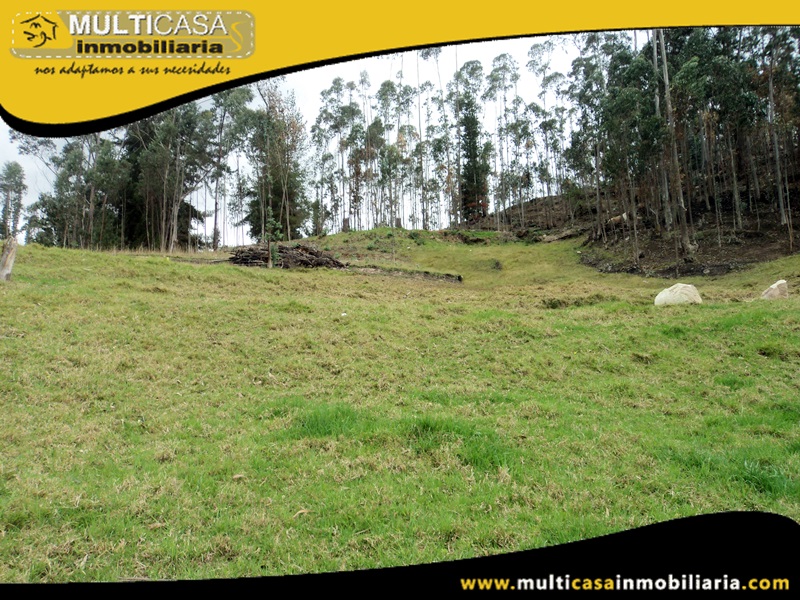 Lotes en Venta a Crédito Sector Tarqui- Irquis -Ecuador