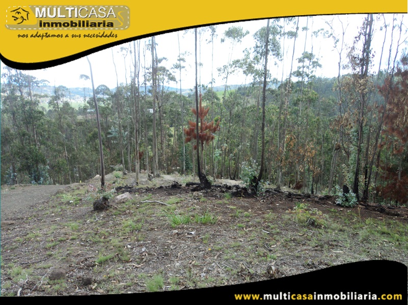 Lotes en Venta a Crédito Sector Tarqui- Irquis -Ecuador