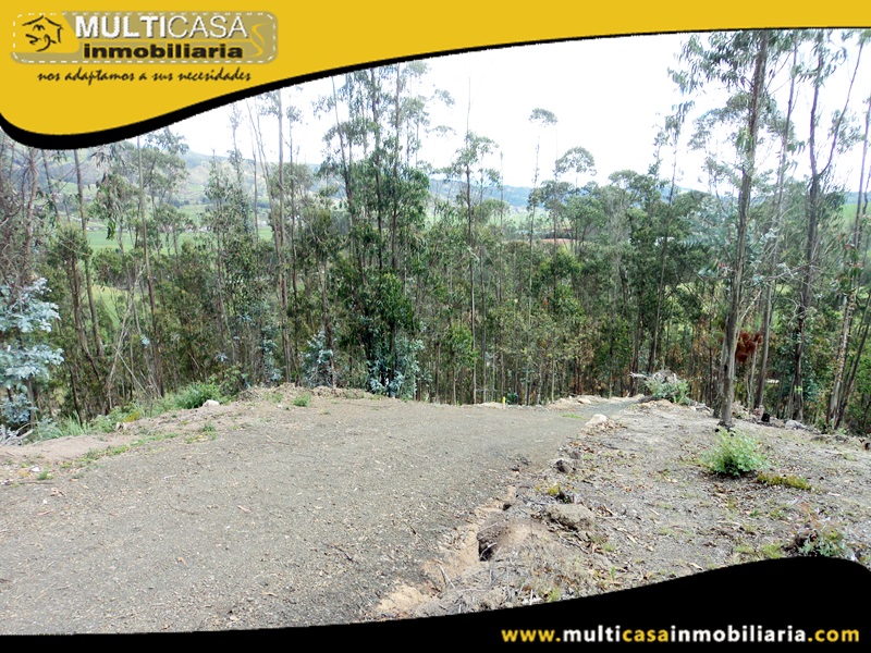 Lotes en Venta a Crédito Sector Tarqui- Irquis -Ecuador