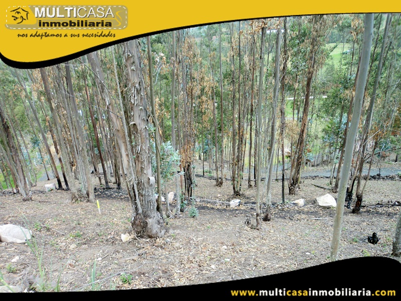 Lotes en Venta a Crédito Sector Tarqui- Irquis -Ecuador