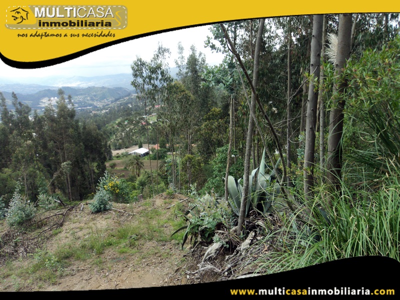 Terreno en Venta a Crédito Sector Challuabamba Cuenca-Ecuador