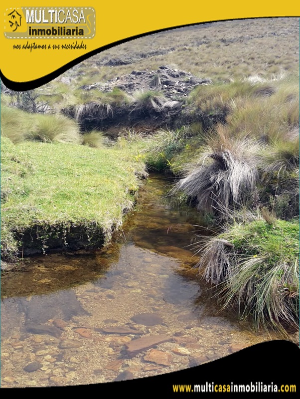 Hacienda en Venta a Crédito Sector San Fernando-Santa Isabel-Ecuador