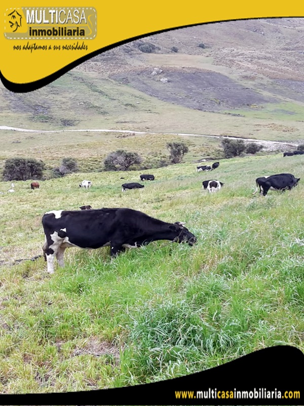 Hacienda en Venta a Crédito Sector San Fernando-Santa Isabel-Ecuador