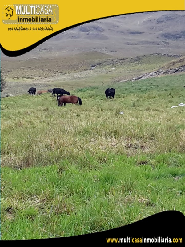 Hacienda en Venta a Crédito Sector San Fernando-Santa Isabel-Ecuador