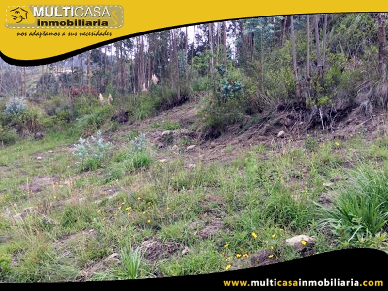 Lotes en Venta a Crédito Sector Challuabamba Cuenca-Ecuador