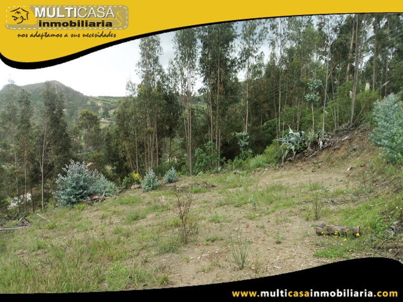 Lotes en Venta a Crédito Sector Challuabamba Cuenca-Ecuador