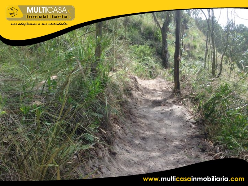 Terreno en Venta a Crèdito Sector Solano- Ecuador
