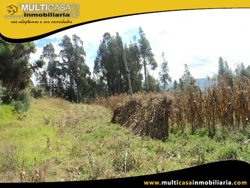 Terreno en Venta a  Crédito Sector Ricaurte Cuenca-Ecuador