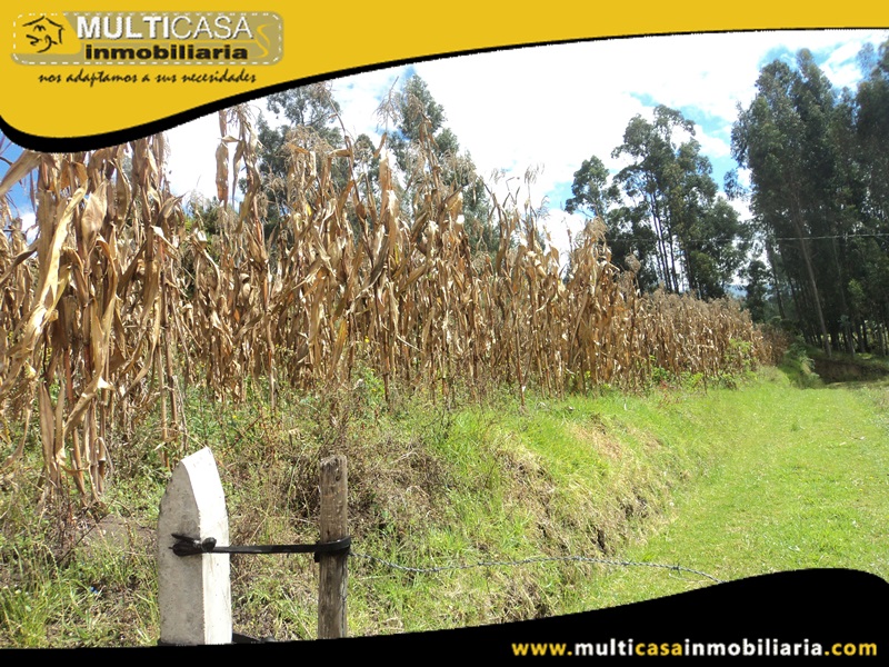 Terreno en Venta a  Crédito Sector Ricaurte Cuenca-Ecuador