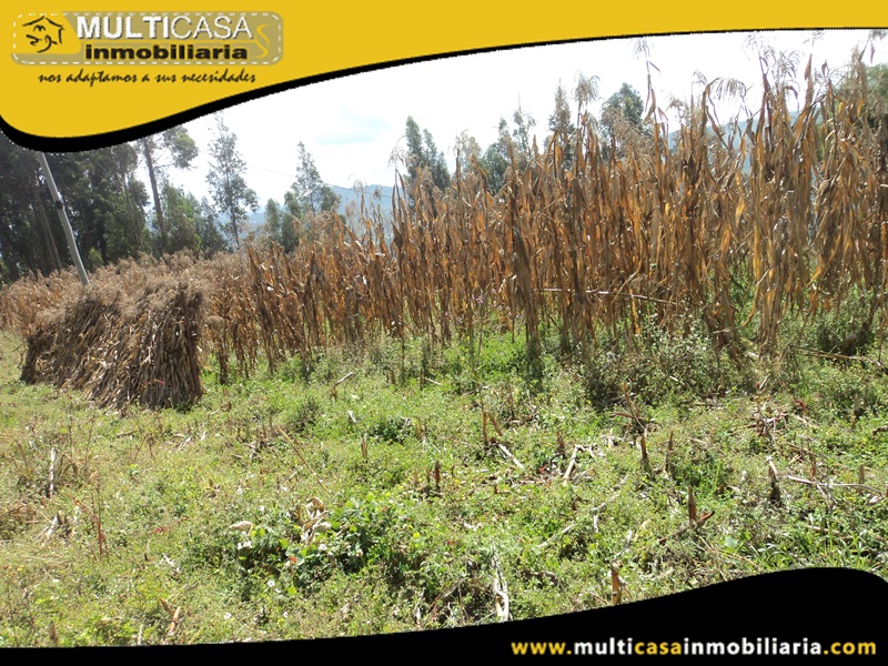 Terreno en Venta a  Crédito Sector Ricaurte Cuenca-Ecuador