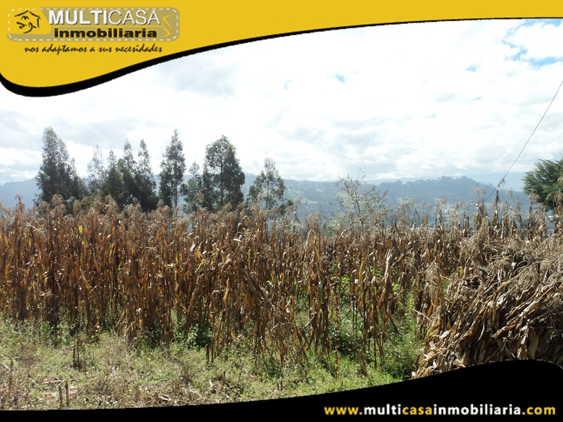Terreno en Venta a  Crédito Sector Ricaurte Cuenca-Ecuador