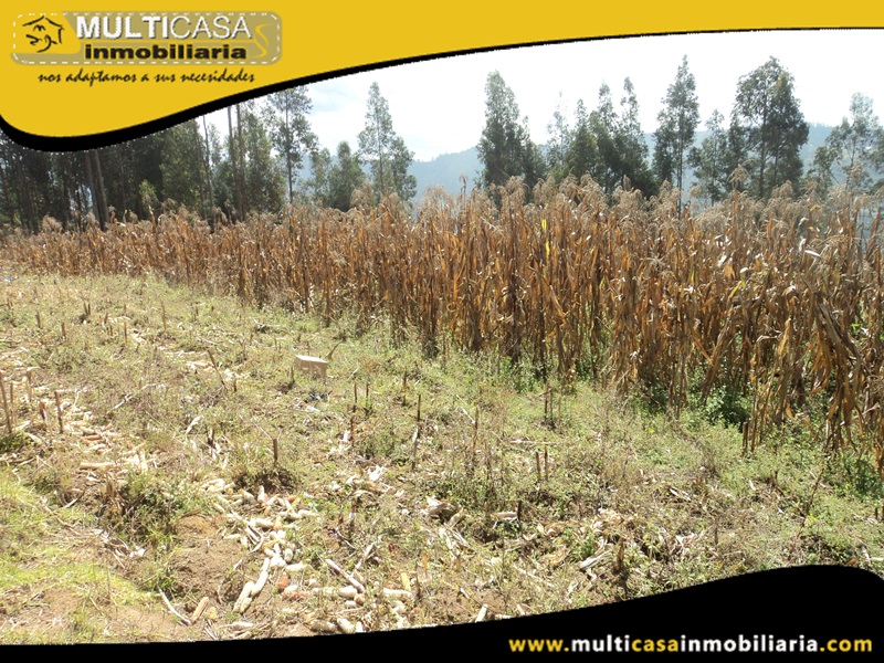Terreno en Venta a  Crédito Sector Ricaurte Cuenca-Ecuador