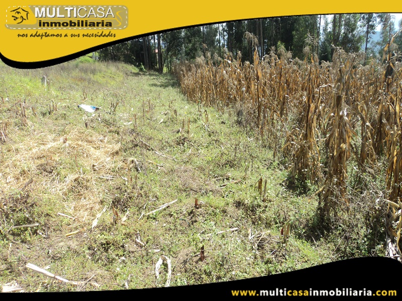 Terreno en Venta a  Crédito Sector Ricaurte Cuenca-Ecuador