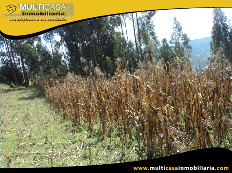 Terreno en Venta a  Crédito Sector Ricaurte Cuenca-Ecuador