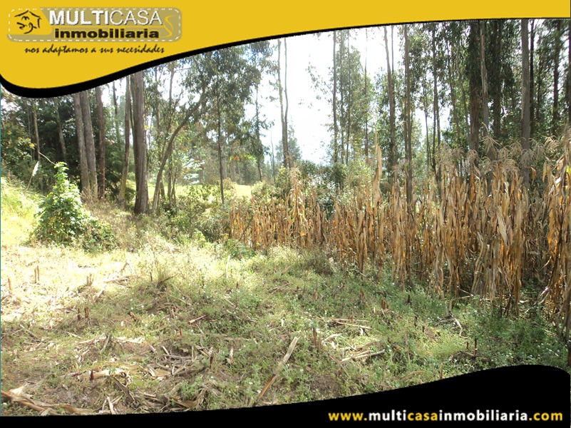 Terreno en Venta a  Crédito Sector Ricaurte Cuenca-Ecuador