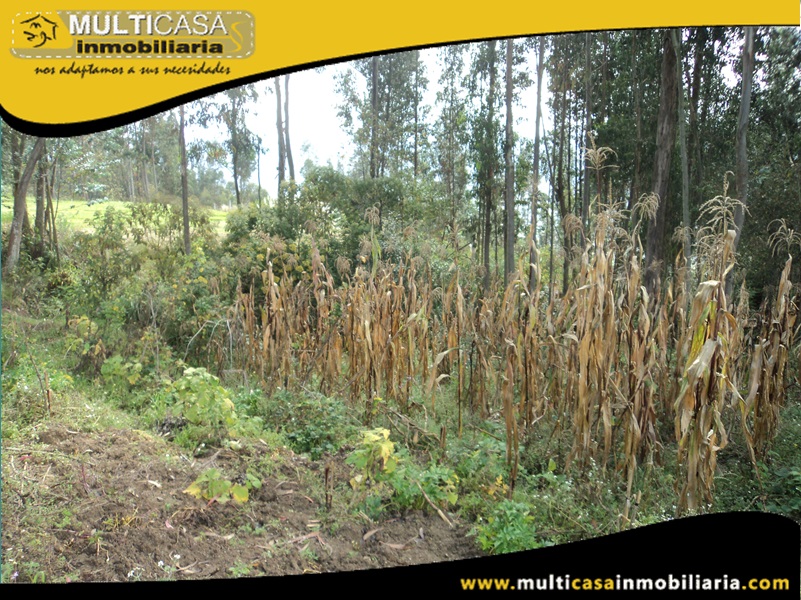 Terreno en Venta a  Crédito Sector Ricaurte Cuenca-Ecuador