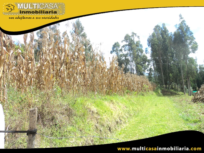 Terreno en Venta a  Crédito Sector Ricaurte Cuenca-Ecuador