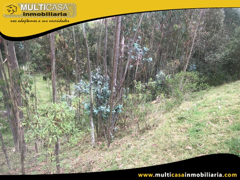 Terreno con Media Agua en Venta a Crédito Sector Santa Ana Cuenca-Ecuador