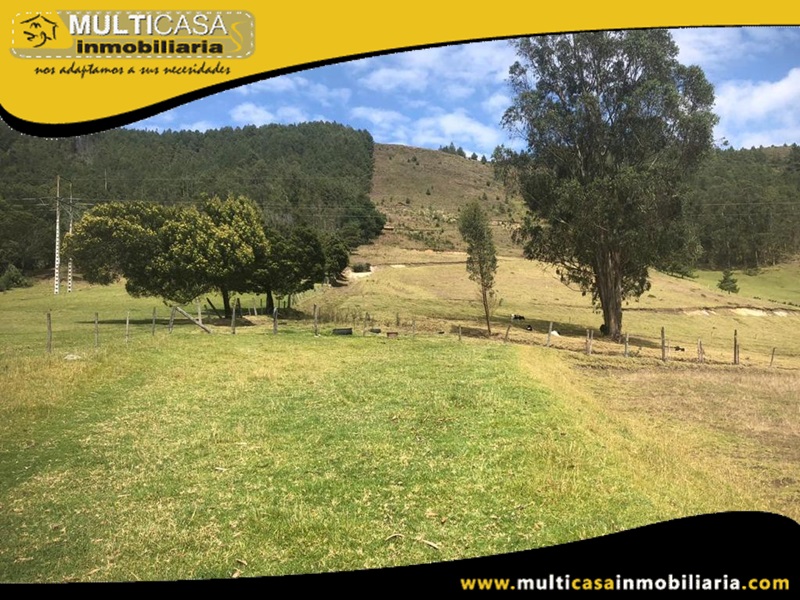 Terreno en Venta a Crédito Sector Tarqui Cuenca-Ecuador