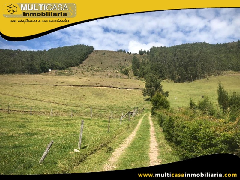 Terreno en Venta a Crédito Sector Tarqui Cuenca-Ecuador