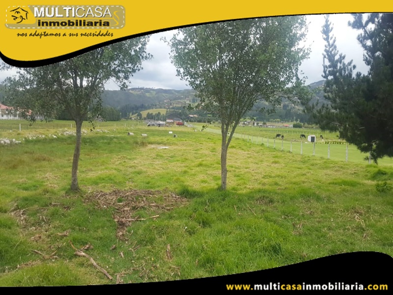 Terreno en Venta Crédito Sector Cumbe -Ecuador