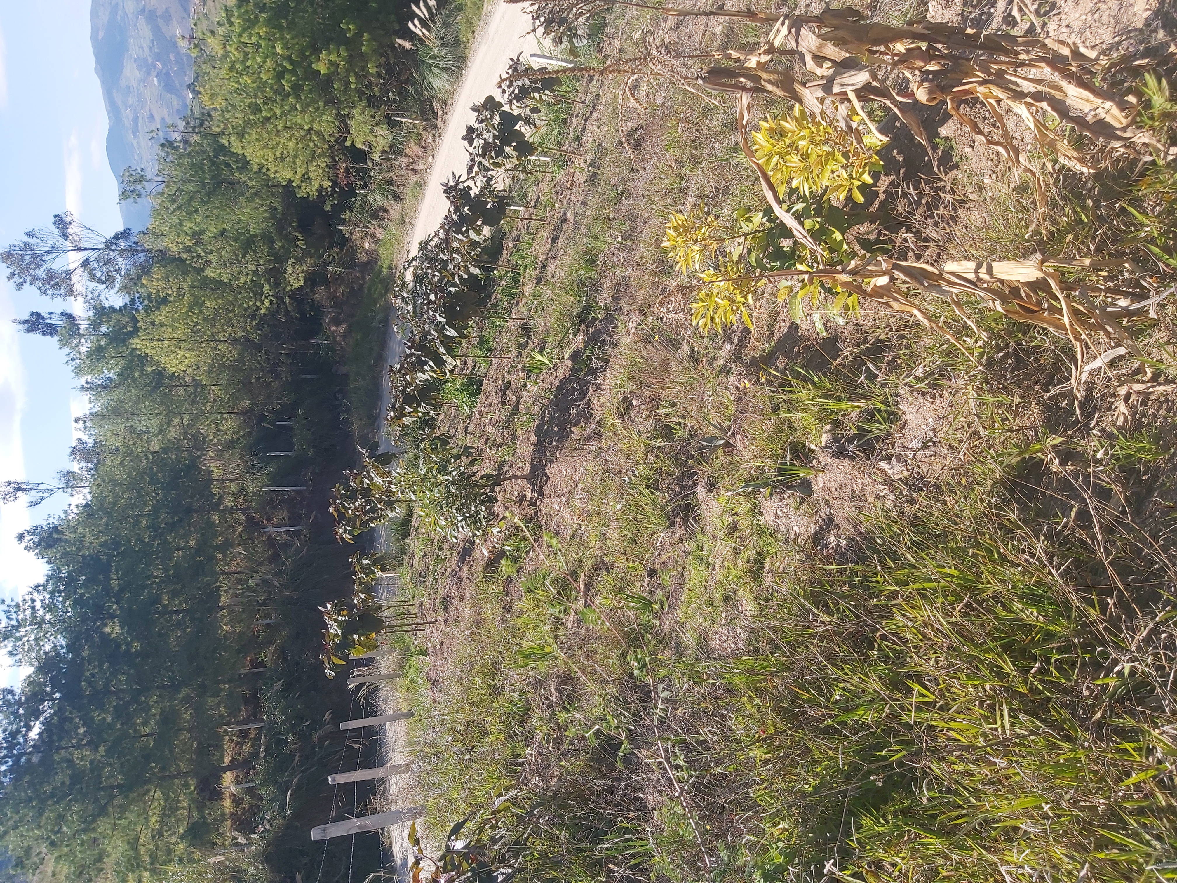 Vendo Bonita Propiedad en Paute
