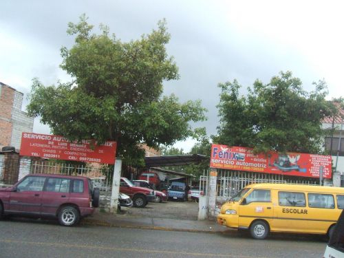 Servicio Automotriz Fénix.