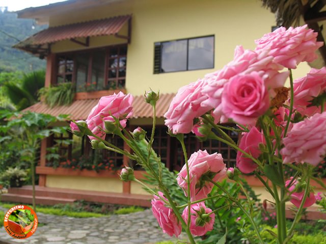 Ecoturismo Luis Antonio Hosteria