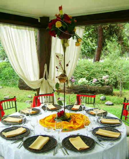 Diego Torres Diseño Floral y Eventos