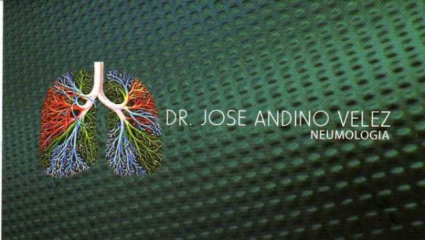 José Gerardo Andino Vélez