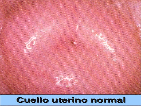 Jaime Patricio Ulloa Maurat