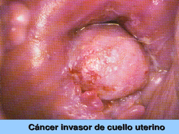 Jaime Patricio Ulloa Maurat