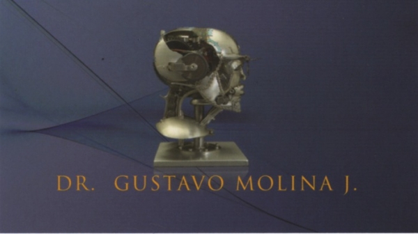 Gustavo Andres Molina Jaramillo