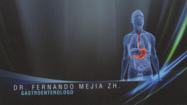 Nestor Fernando Mejia Zhisphon