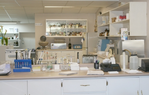 Sonia Dolores Dominguez Vasquez