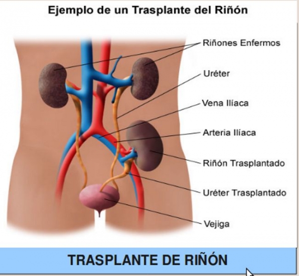Rómulo Alcibiades Tapia Peñafiel