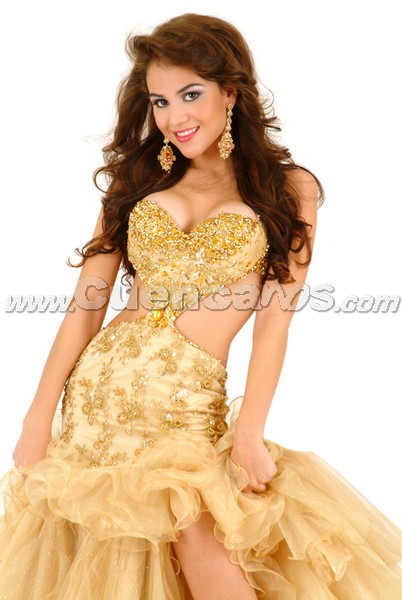 Miss Continente Americano 2008
