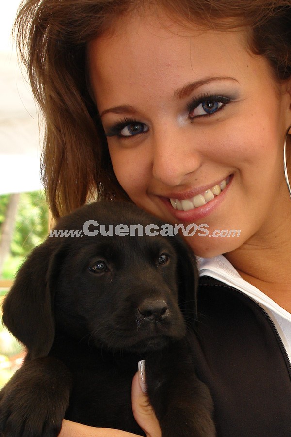 Exhibición Canina Pro plan Cuenca 2008