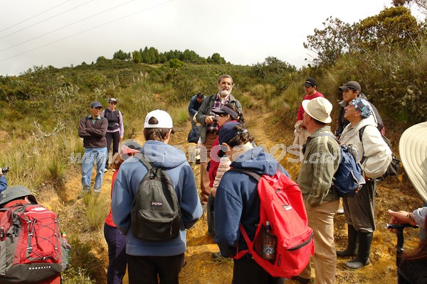 Caminata al Bosque de Aguarongo
