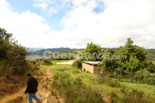 Caminata al Bosque de Aguarongo