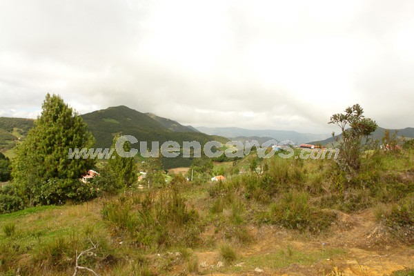 Caminata al Bosque de Aguarongo