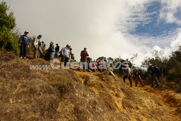 Caminata al Bosque de Aguarongo