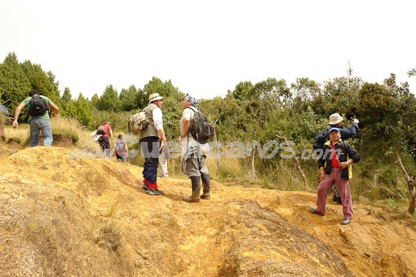 Caminata al Bosque de Aguarongo