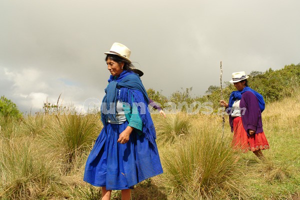 Caminata al Bosque de Aguarongo