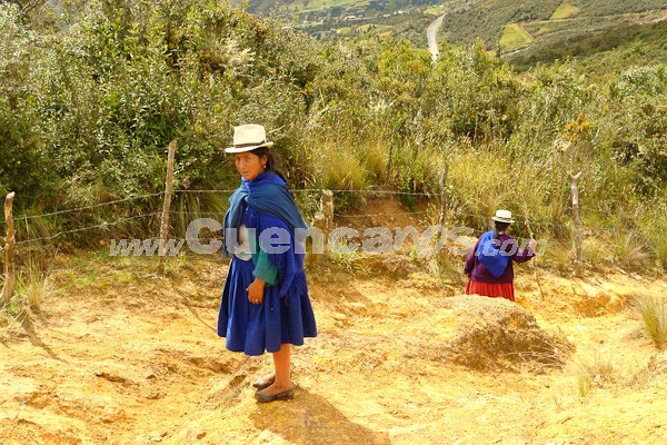 Caminata al Bosque de Aguarongo