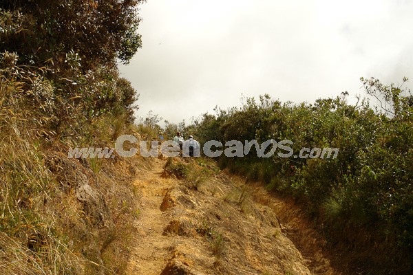 Caminata al Bosque de Aguarongo