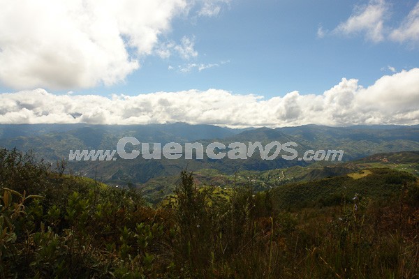 Caminata al Bosque de Aguarongo