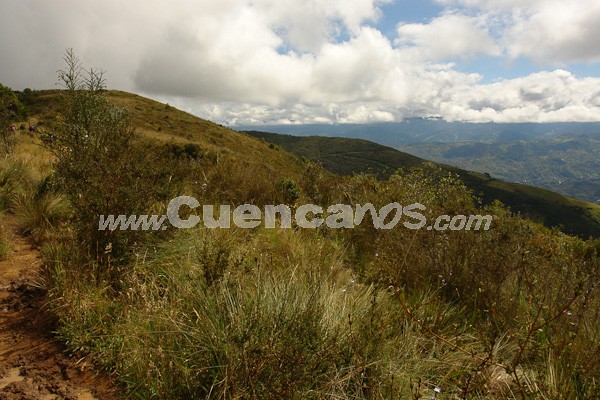 Caminata al Bosque de Aguarongo