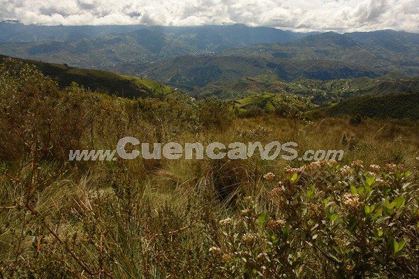 Caminata al Bosque de Aguarongo